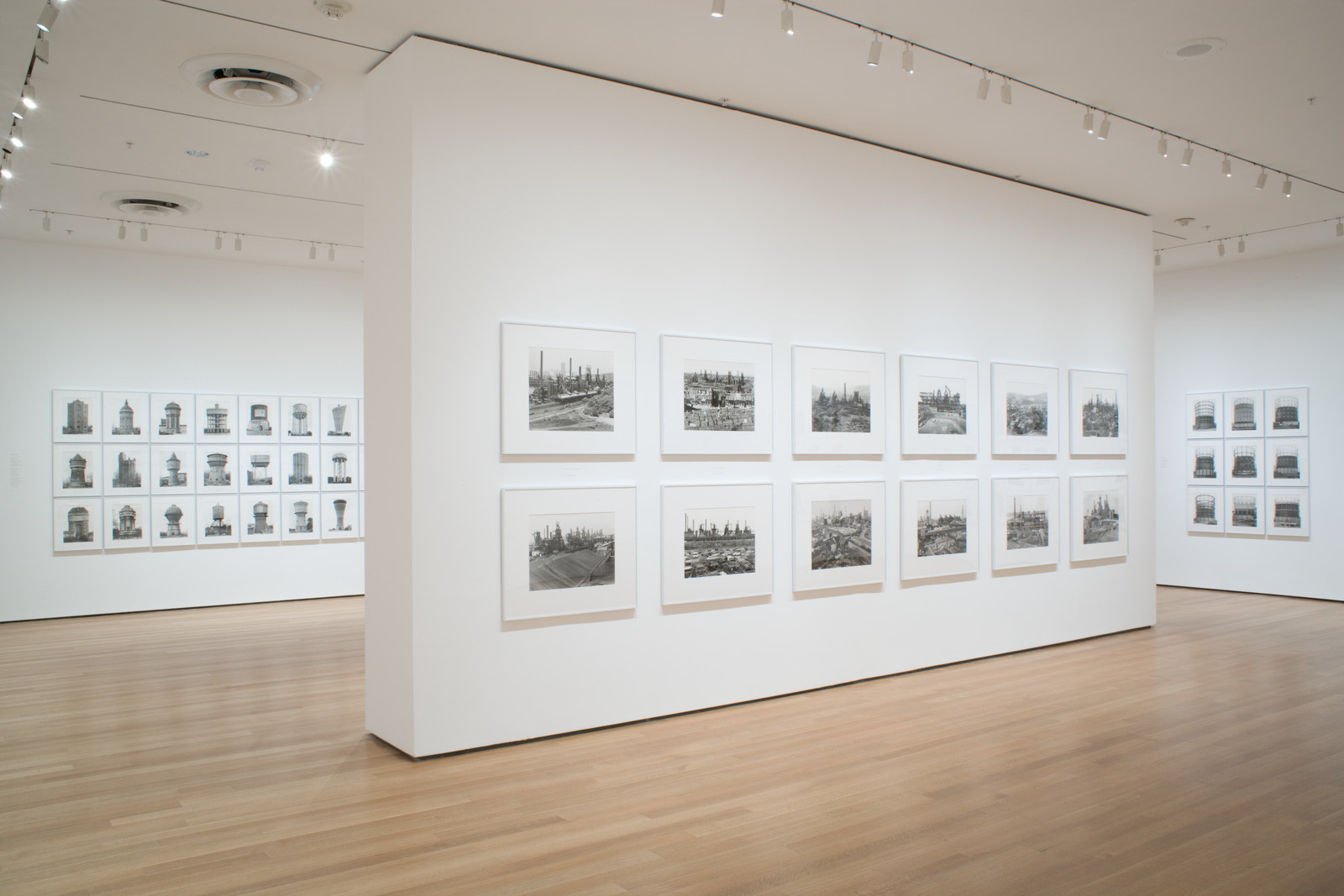 museum of modern art photography Cami Moseman