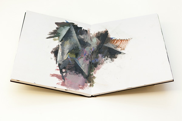 Guillermo Kuitca, Pintura sin muros (Painting without Walls), 2016