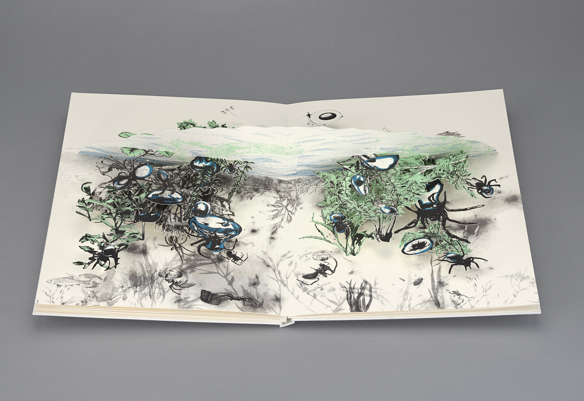 Arachnophilia: Spiders in Art and Folklore