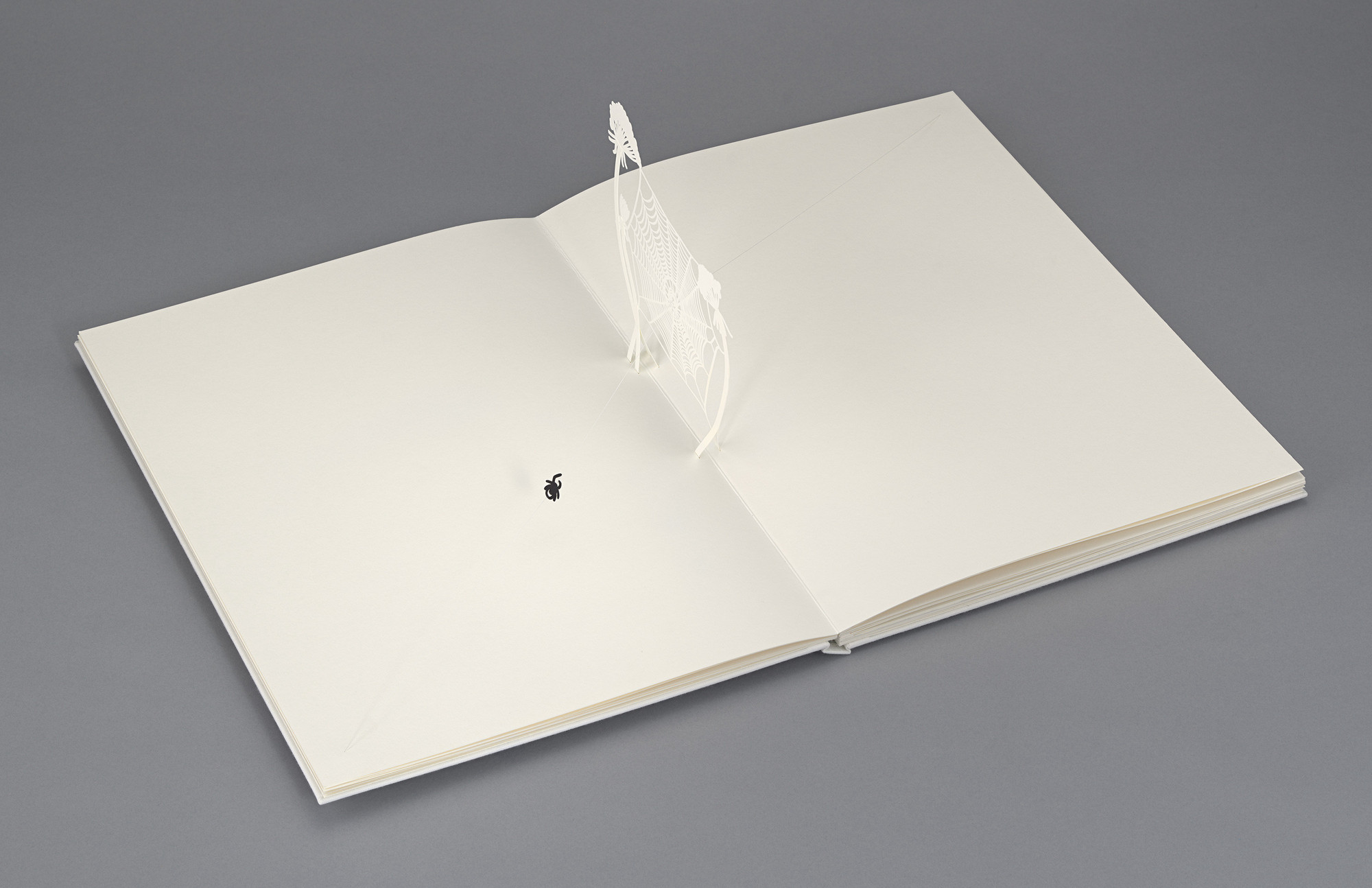 What are Spiders? Arachnophilia - Online exhibitions across Cornell University Library