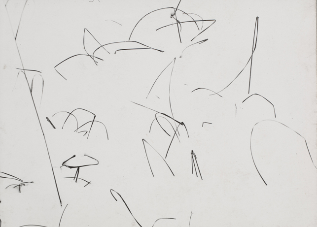 Harry Callahan. Weeds in Snow, Detroit. 1943. Gelatin silver print, 3 1/4 x 4 7/16" (8.2 x 11.3 cm). Gift of the photographer. © 2015 The Estate of Harry Callahan