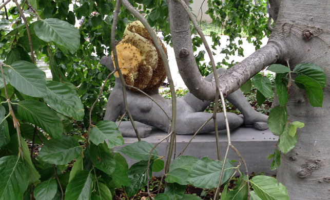 Installation is complete and the bees begin to acclimatize to their new home. Shown: Pierre Huyghe. Untilled (Liegender Frauenakt) [fusion_builder_container hundred_percent=