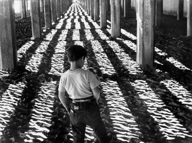 Little Fugitive. 1953. USA. Directed by Ray Ashley, Morris Engel, and Ruth Orkin