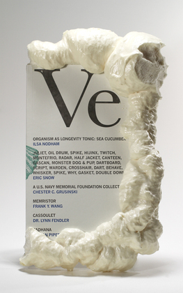 Veneer. No. 05. (Portland, OR: MPH, 2008). Photograph by Flint Jamison