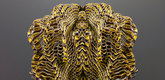 Neri Oxman (American, b. Israel 1976), Mediated Matter Group (est. 2010), Massachusetts Institute of Technology, Cambridge, MA (est. 1861), W. Craig Carter (American, b. 1961), MIT Materials Science and Engineering (est. 1974), Stratasys (est. 1989). Imaginary Beings (Medusa 2). 2012. Objet Connex500 Multi-material 3-D Bitmap Printer and colored digital powders and materials. The Museum of Modern Art, New York. Committee on Architecture and Design Funds