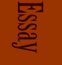 Essay