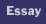 Essay