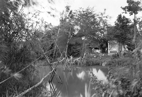 Untitled, 1994