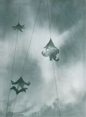 Compounds. A. Positive. 1997
