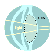 lens