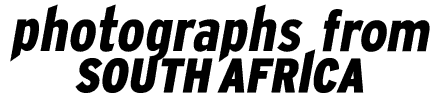 photographs from South Africa