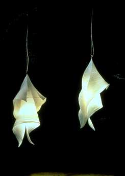 Jimken ceiling lamp