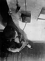 at the telephone