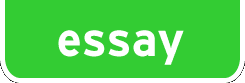 Essay