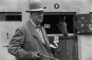 Thumbnail At Curragh Racecourse near Dublin, Ireland