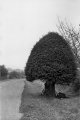 Thumbnail Ireland