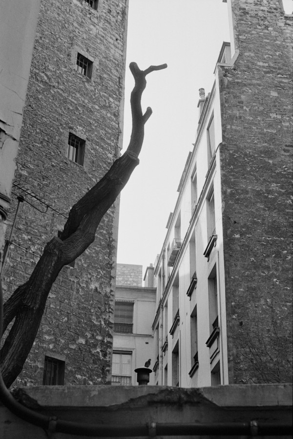 Chronology Thumbnail