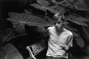 Thumbnail Truman Capote, New Orleans