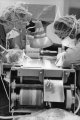 Thumbnail The Pill, Pharmaceutical Factory, California