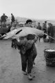 Thumbnail Fish Market, Galata, Istanbul