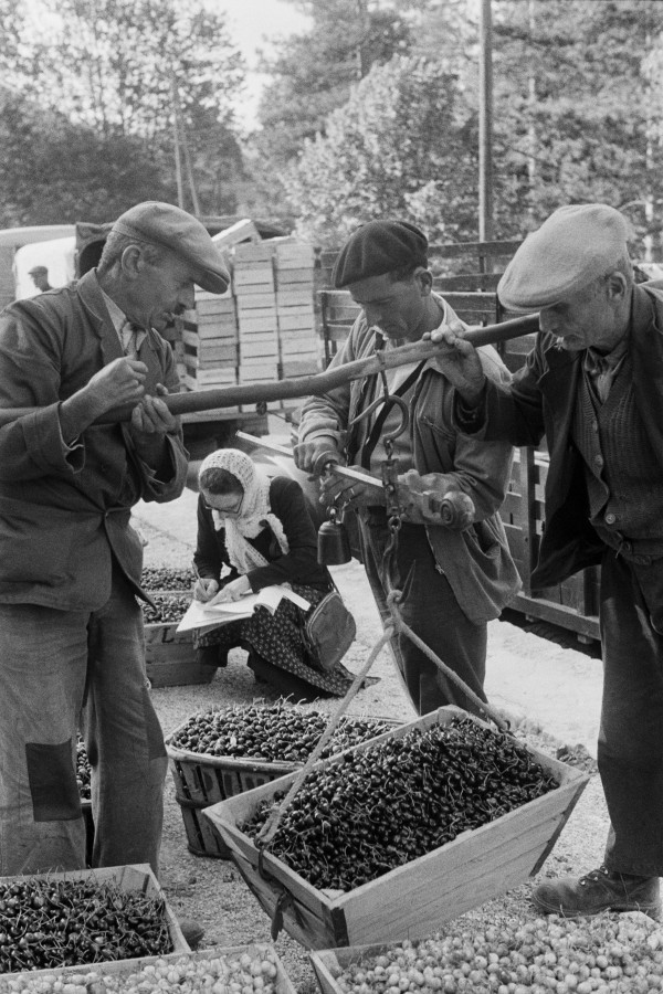 Chronology Thumbnail