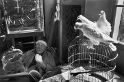 Thumbnail Henri Matisse, Vence, France