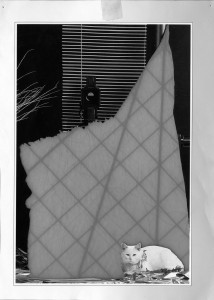 Aperture (Throw)