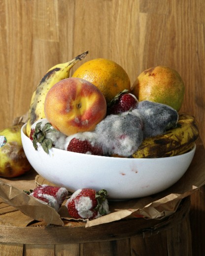Old Fruit