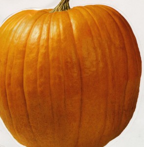 Pumpkin Sticker