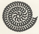 img3