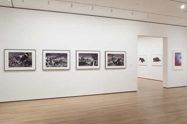 Exhibition Photo 10