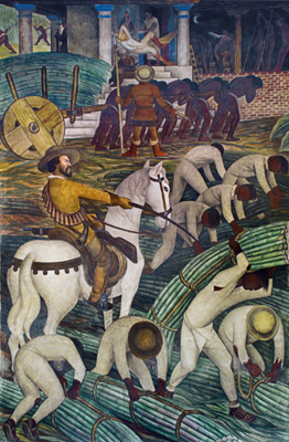 Sugar Plantation