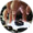 Transgenic Bestiary