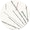 Doodlebuzz