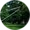 Avatar Machine