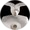 Lucy from Back, Herebelow, Formidable (the rebirth of prehistoric creatures)