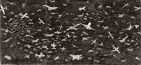 Aerei (Airplanes)