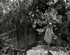 G02A47Untitled-Film-Still-47.1979