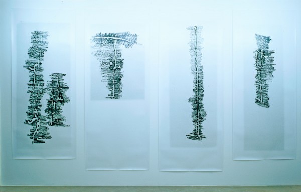 Untitled (Donnelly)
