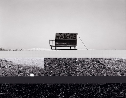 Sculptures Involuntaires
