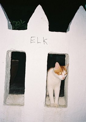 Elk Zine
