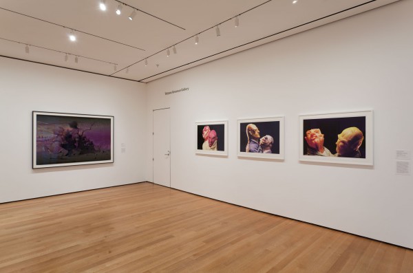 Exhibition View 17