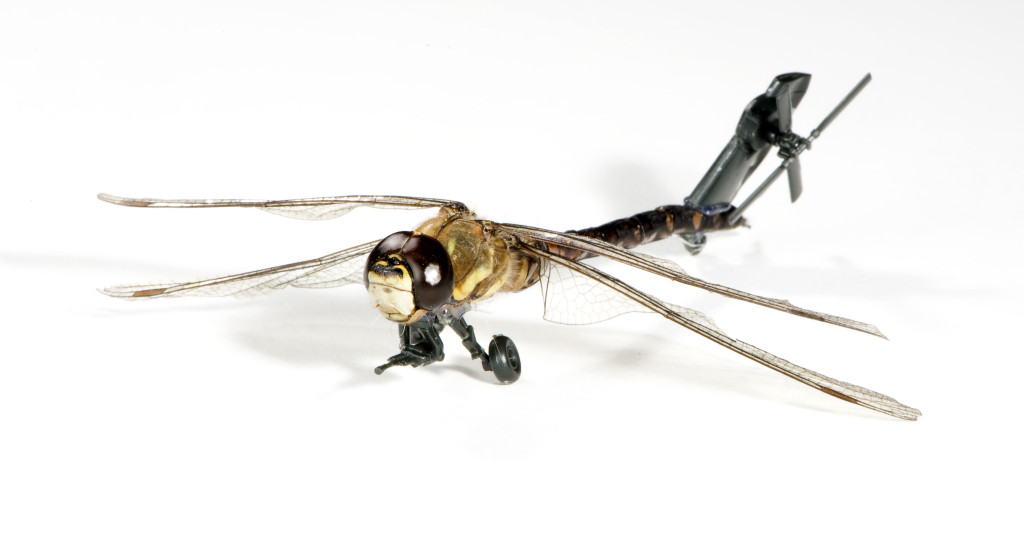 Job van der Molen (Dutch, 1984). Illustration Design Department (Est. TK). ArtEZ Institute of the Arts (est. 1949). Insect Army (There’s nothing new under the sun). 2010. Preserved insect, plastic, batteries, glue, paint, metal. Dimensions variable. Image courtesy of the designer