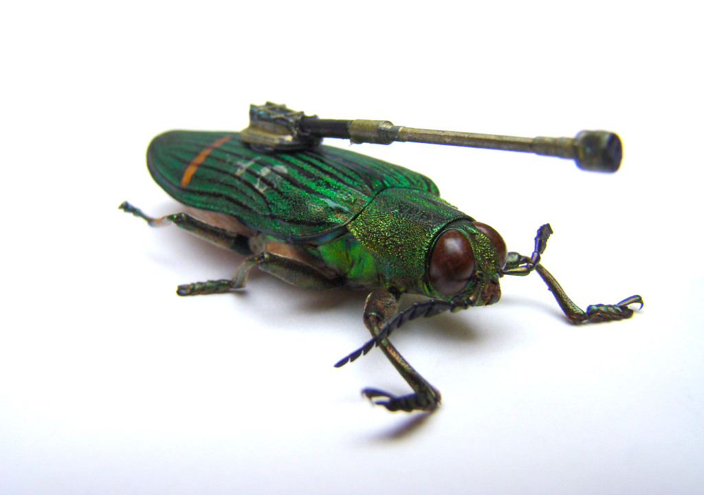 Job van der Molen (Dutch, 1984). Illustration Design Department (Est. TK). ArtEZ Institute of the Arts (est. 1949). Insect Army (There’s nothing new under the sun). 2010. Preserved insect, plastic, batteries, glue, paint, metal. Dimensions variable. Image courtesy of the designer