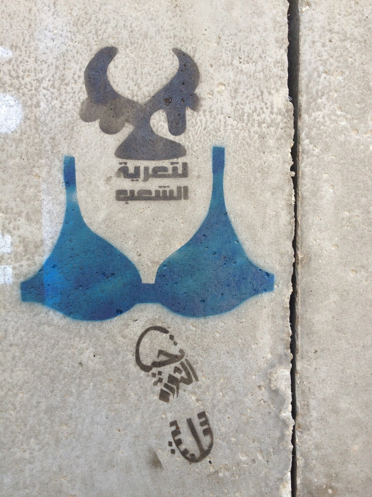 Blue Bra Graffiti (Bahia Shehab) - Design and Violence