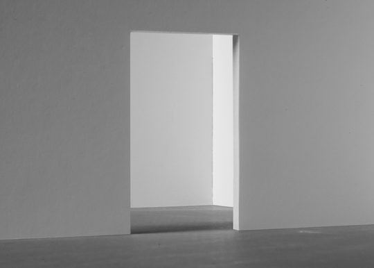 <i>Rooms: No Vacancy</i>, Fake Industries Architectural Agonism