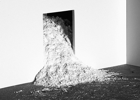 <i>Rooms: No Vacancy</i>, Fake Industries Architectural Agonism