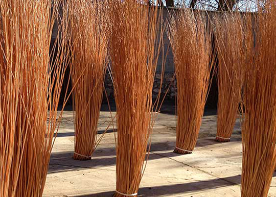 Wicker Forest