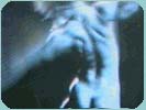 Champion body builder (Video still)