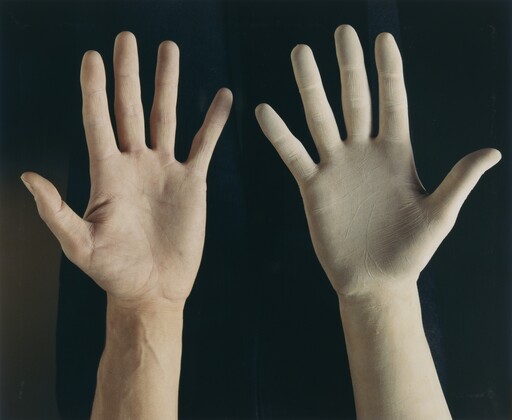 Glove